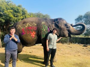 Elephant Village Ride Experience Jaipur