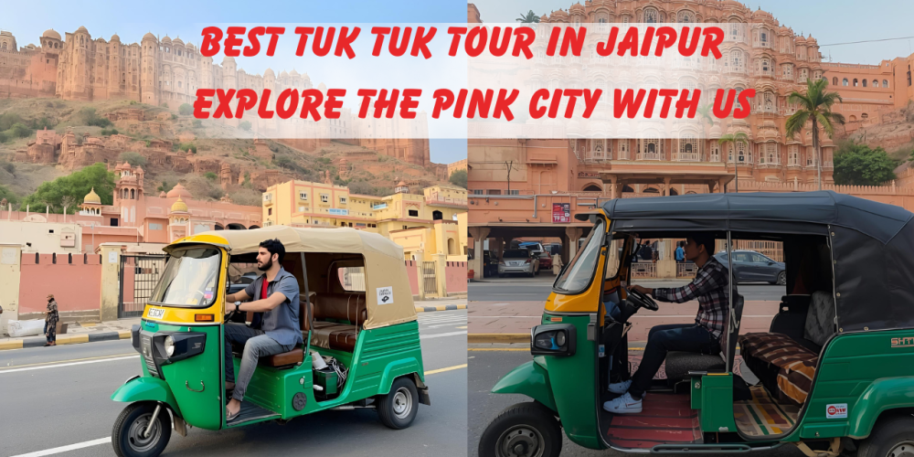 Amber Fort Elephant Ride Experience Jaipur